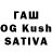 Конопля White Widow SAHABAT MILITER