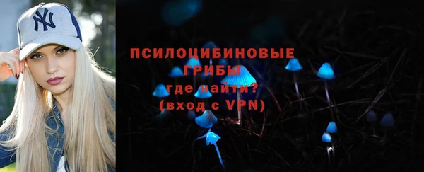 сатива Михайловка