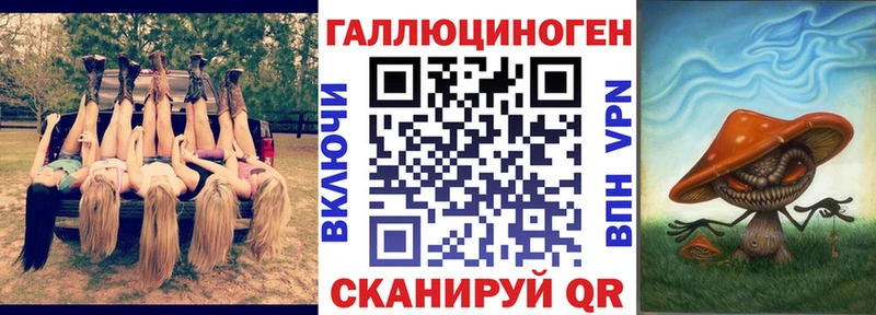 Псилоцибиновые грибы Psilocybe  Усть-Катав 